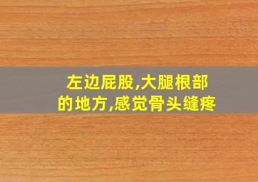 左边屁股,大腿根部的地方,感觉骨头缝疼