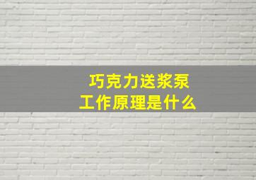 巧克力送浆泵工作原理是什么