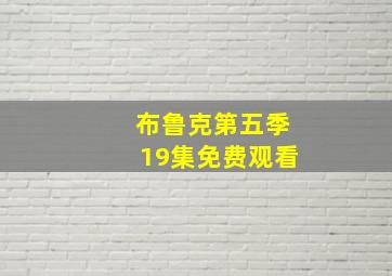 布鲁克第五季19集免费观看