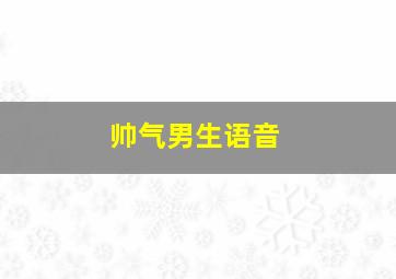 帅气男生语音