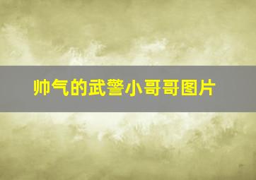 帅气的武警小哥哥图片