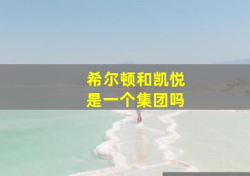 希尔顿和凯悦是一个集团吗