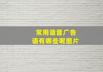 常用谐音广告语有哪些呢图片