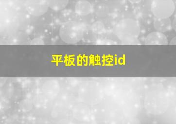 平板的触控id