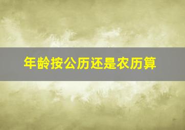 年龄按公历还是农历算