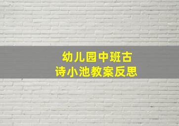 幼儿园中班古诗小池教案反思