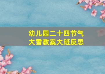 幼儿园二十四节气大雪教案大班反思