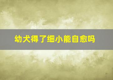 幼犬得了细小能自愈吗