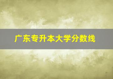 广东专升本大学分数线