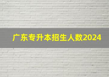 广东专升本招生人数2024