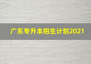 广东专升本招生计划2021