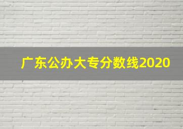 广东公办大专分数线2020