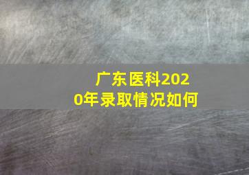 广东医科2020年录取情况如何