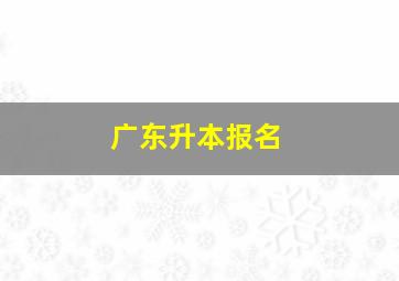 广东升本报名