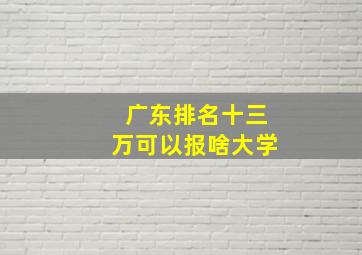 广东排名十三万可以报啥大学