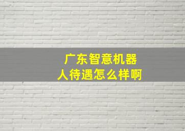 广东智意机器人待遇怎么样啊