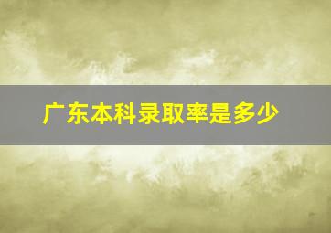 广东本科录取率是多少