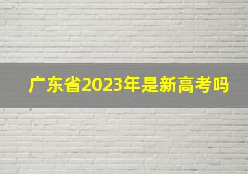 广东省2023年是新高考吗