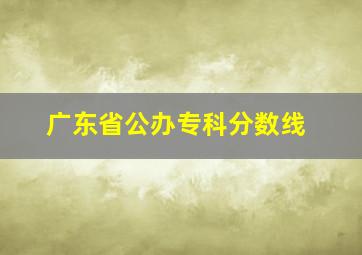 广东省公办专科分数线