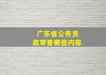 广东省公务员政审查哪些内容