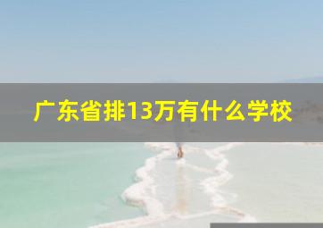 广东省排13万有什么学校