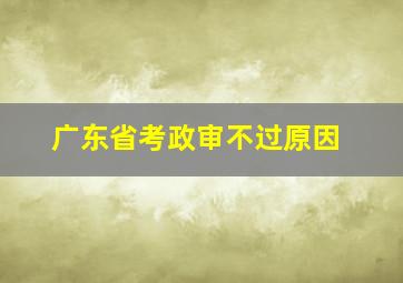 广东省考政审不过原因