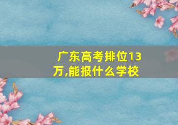 广东高考排位13万,能报什么学校