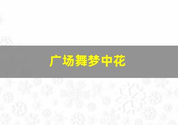 广场舞梦中花