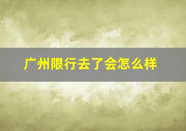 广州限行去了会怎么样