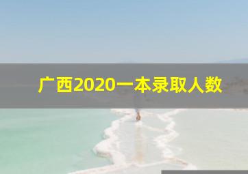 广西2020一本录取人数