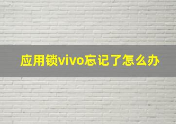 应用锁vivo忘记了怎么办