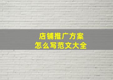 店铺推广方案怎么写范文大全