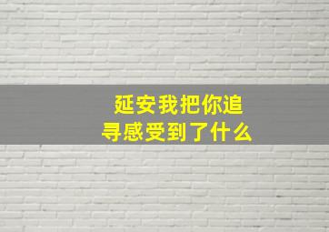 延安我把你追寻感受到了什么