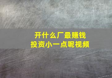 开什么厂最赚钱投资小一点呢视频