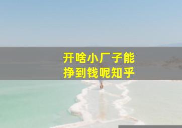 开啥小厂子能挣到钱呢知乎