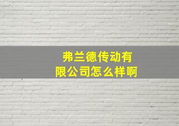 弗兰德传动有限公司怎么样啊