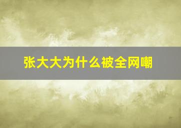 张大大为什么被全网嘲