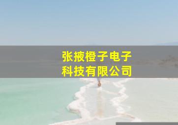 张掖橙子电子科技有限公司