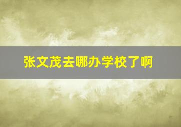 张文茂去哪办学校了啊