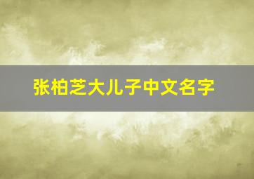 张柏芝大儿子中文名字