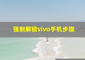 强制解锁vivo手机步骤