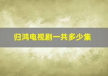 归鸿电视剧一共多少集