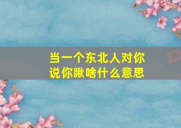 当一个东北人对你说你瞅啥什么意思