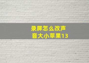 录屏怎么改声音大小苹果13