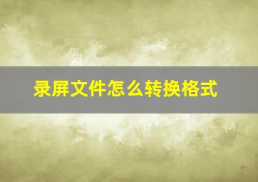 录屏文件怎么转换格式