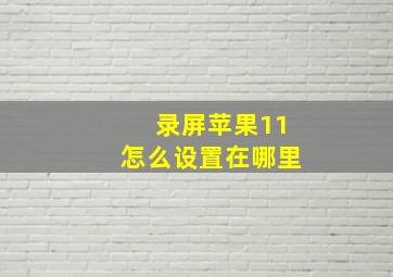 录屏苹果11怎么设置在哪里