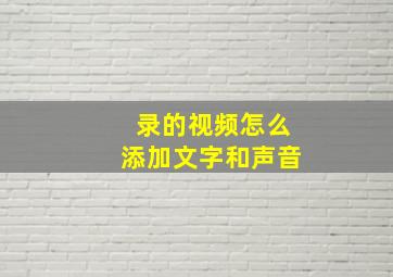 录的视频怎么添加文字和声音