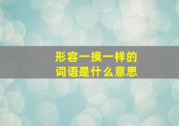 形容一摸一样的词语是什么意思