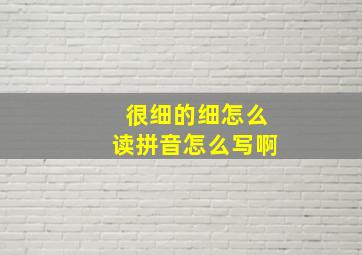 很细的细怎么读拼音怎么写啊