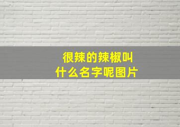 很辣的辣椒叫什么名字呢图片